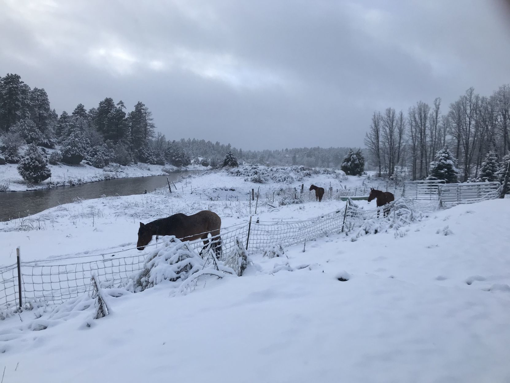 Spring snow